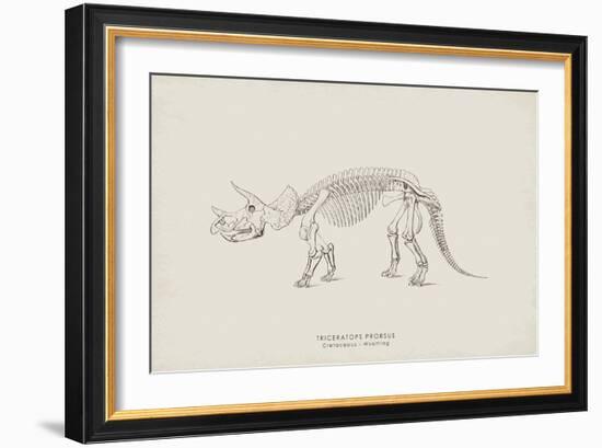 Triceratops-The Vintage Collection-Framed Giclee Print