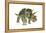 Triceratops-Tim Knepp-Framed Premier Image Canvas