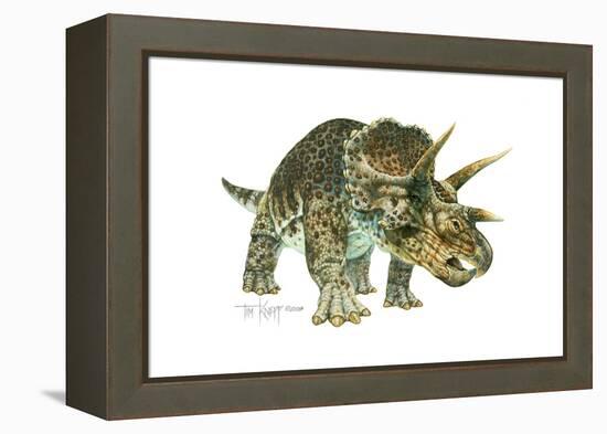 Triceratops-Tim Knepp-Framed Premier Image Canvas