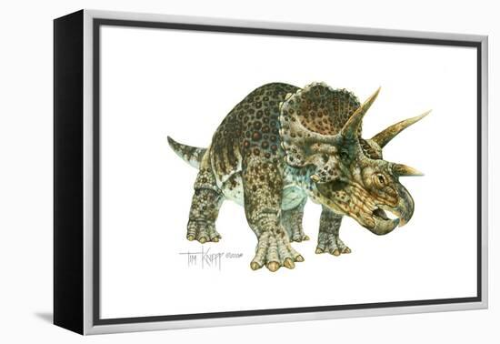 Triceratops-Tim Knepp-Framed Premier Image Canvas