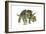 Triceratops-Tim Knepp-Framed Giclee Print