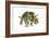 Triceratops-Tim Knepp-Framed Giclee Print