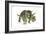 Triceratops-Tim Knepp-Framed Giclee Print