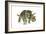 Triceratops-Tim Knepp-Framed Giclee Print