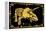 Triceratops-ALI Chris-Framed Premier Image Canvas