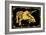 Triceratops-ALI Chris-Framed Giclee Print