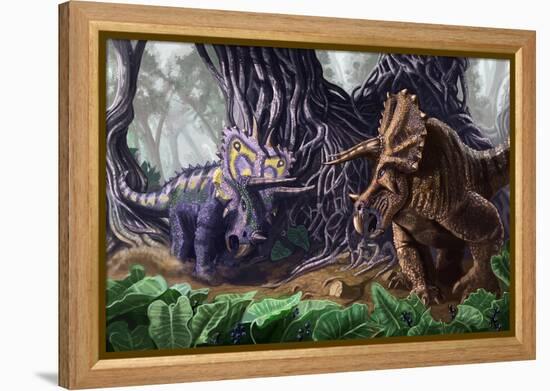 Tricerotops Charging Dinosaur-Lantern Press-Framed Stretched Canvas