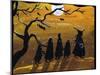 Trick or Treat Night-sylvia pimental-Mounted Art Print