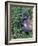 Tricolored Heron, Texas, USA-Dee Ann Pederson-Framed Photographic Print