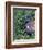 Tricolored Heron, Texas, USA-Dee Ann Pederson-Framed Photographic Print