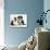 Tricolour Border Collie Puppy with Blue Dutch Rabbit-Jane Burton-Photographic Print displayed on a wall