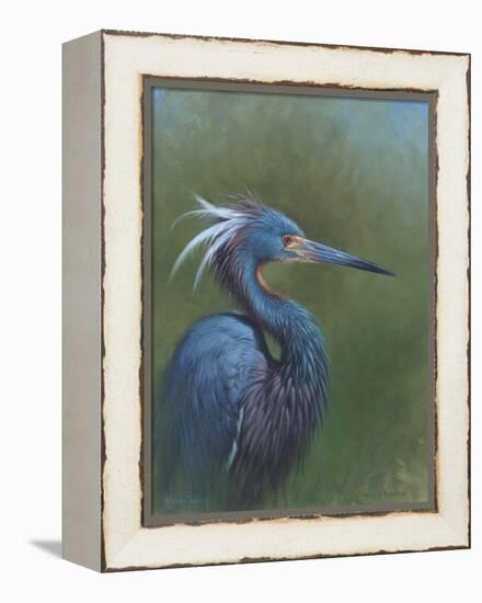 Tricolour Egret-Michael Jackson-Framed Premier Image Canvas