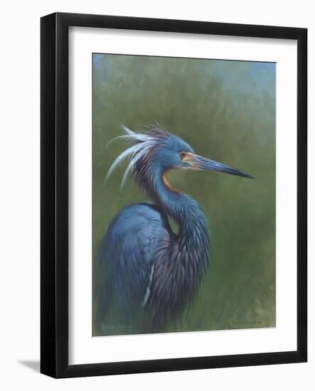 Tricolour Egret-Michael Jackson-Framed Giclee Print