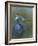 Tricolour Egret-Michael Jackson-Framed Giclee Print