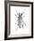 Trictenotoma Beetle-Lawrence Lawry-Framed Photographic Print