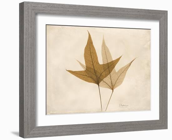 Trident Maple Moments-Albert Koetsier-Framed Art Print