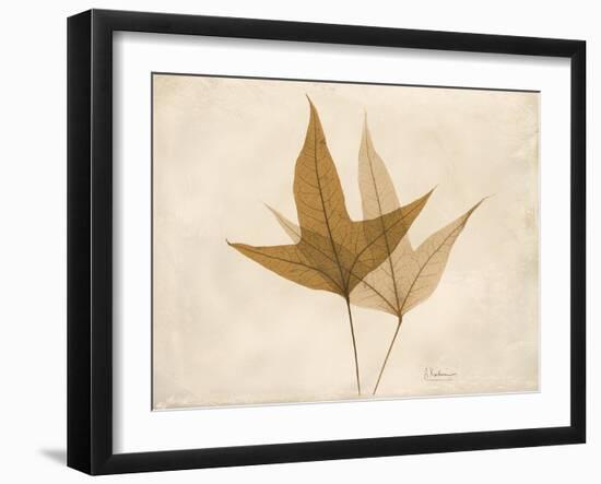 Trident Maple Moments-Albert Koetsier-Framed Art Print