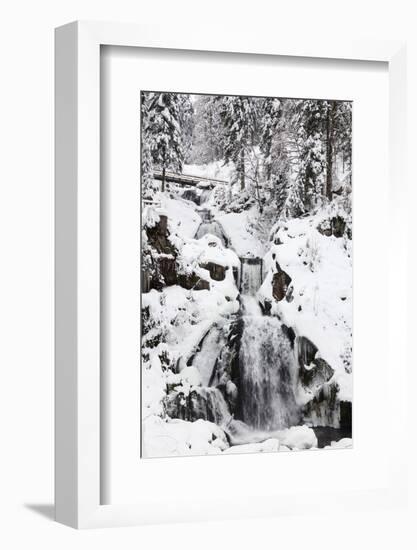 Trieberg waterfalls in winter, Black Forest, Baden-Wurttemberg, Germany-Markus Lange-Framed Photographic Print