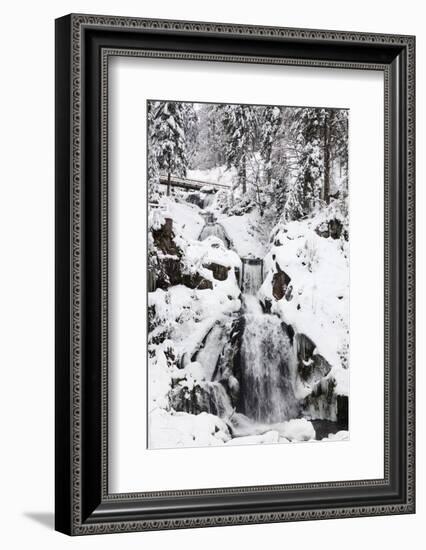 Trieberg waterfalls in winter, Black Forest, Baden-Wurttemberg, Germany-Markus Lange-Framed Photographic Print