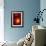 Trifid Nebula-null-Framed Photographic Print displayed on a wall
