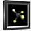 Trifluoromethane Molecule-Friedrich Saurer-Framed Photographic Print