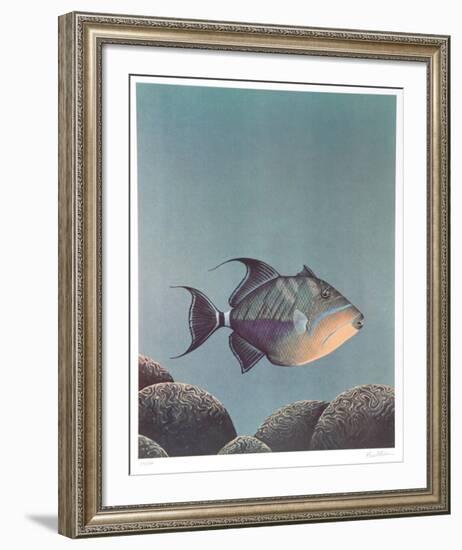 Trigger Fish-Richard Ellis-Framed Limited Edition