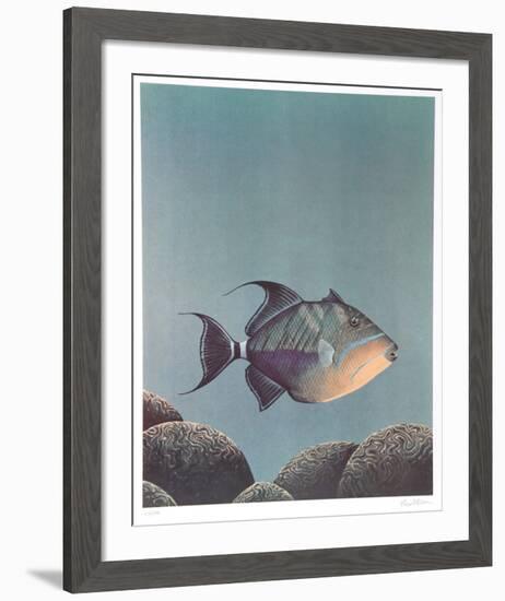 Trigger Fish-Richard Ellis-Framed Limited Edition