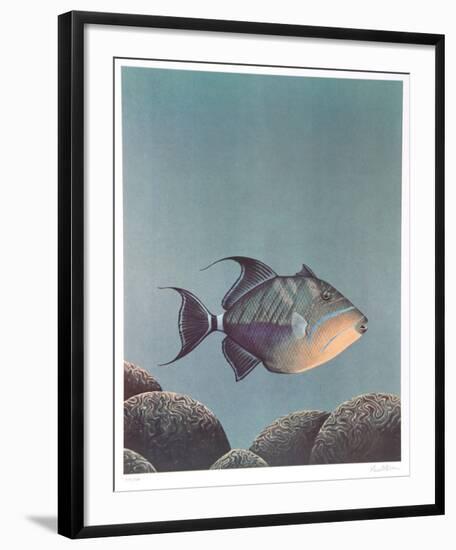 Trigger Fish-Richard Ellis-Framed Limited Edition