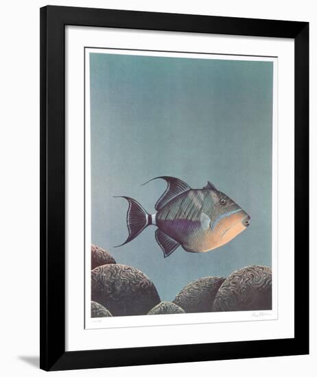 Trigger Fish-Richard Ellis-Framed Limited Edition