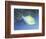 Trigger Fish-Durwood Coffey-Framed Giclee Print