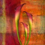 Three White Tulips-Trigger Image-Photographic Print