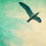 Close-Up of a Gull Flying in a Texturized Sky-Trigger Image-Mounted Photographic Print