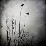 Two Bird Flying Near a Tree-Trigger Image-Photographic Print