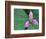 Trillium along Trail to Sol Duc, Olympic National Park, Washington, USA-Jamie & Judy Wild-Framed Photographic Print