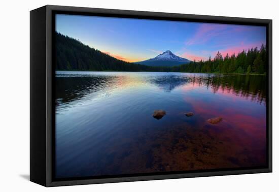 Trillium Fever, Mount Hood, Oregon-Vincent James-Framed Premier Image Canvas