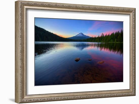 Trillium Fever, Mount Hood, Oregon-Vincent James-Framed Photographic Print