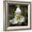 Trillium Flower, Mount Baker-Snoqualmie National Forest, Washington, USA-Jamie & Judy Wild-Framed Photographic Print