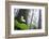 Trillium, Lady Bird Johnson Grove, Prairie Creek Redwoods, California-Rob Sheppard-Framed Photographic Print