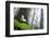 Trillium, Lady Bird Johnson Grove, Prairie Creek Redwoods, California-Rob Sheppard-Framed Photographic Print
