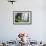 Trillium, Lady Bird Johnson Grove, Prairie Creek Redwoods, California-Rob Sheppard-Framed Photographic Print displayed on a wall