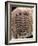 Trilobite Fossil-Sinclair Stammers-Framed Photographic Print