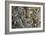 Trilobite Fossils-Sinclair Stammers-Framed Photographic Print