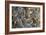 Trilobite Fossils-Sinclair Stammers-Framed Photographic Print