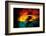 Trilogy-Ursula Abresch-Framed Photographic Print