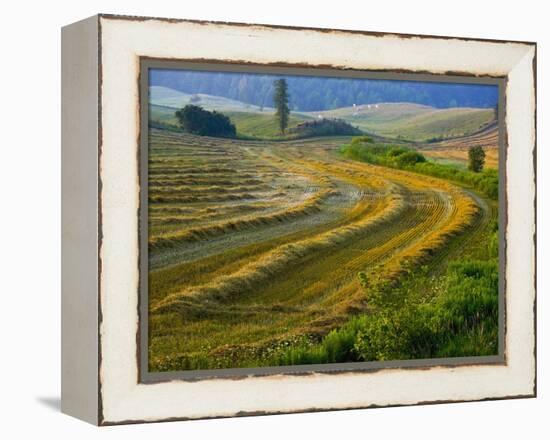 Trimmed Fields-Jim Craigmyle-Framed Premier Image Canvas