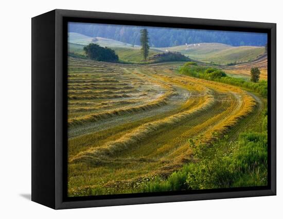 Trimmed Fields-Jim Craigmyle-Framed Premier Image Canvas