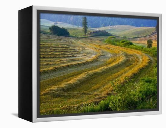 Trimmed Fields-Jim Craigmyle-Framed Premier Image Canvas