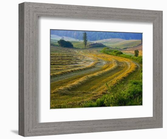 Trimmed Fields-Jim Craigmyle-Framed Photographic Print
