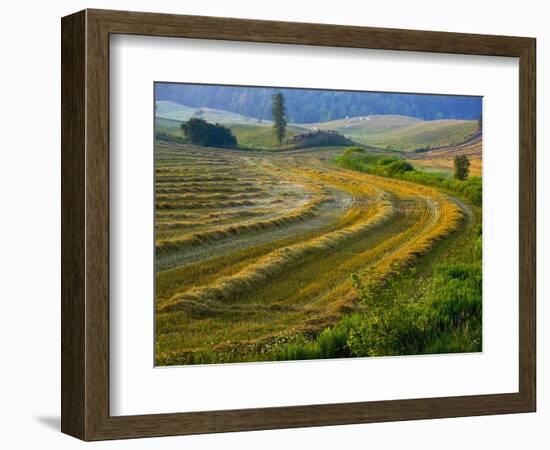 Trimmed Fields-Jim Craigmyle-Framed Photographic Print