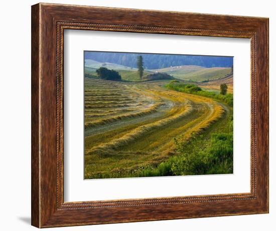 Trimmed Fields-Jim Craigmyle-Framed Photographic Print